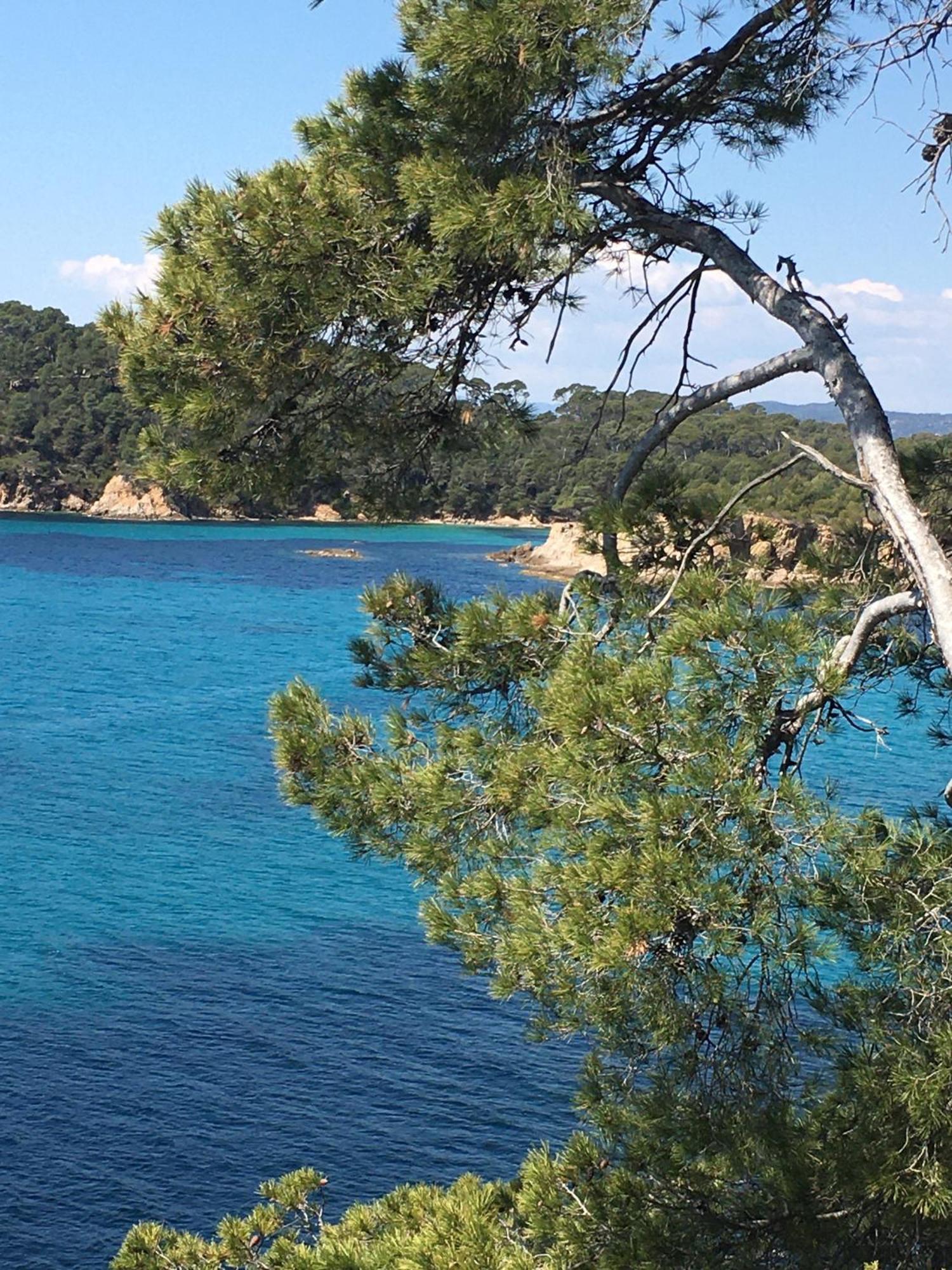 T3 Front De Mer Dernier Etage Vue Mer Petit Havre De Paix Pour Vos Vacances Emplacement Unique Vue Mer Panoramique A 180 Degres Pour Ce T3 En Face De La Plage Front De Mer Vue Sur Les Iles 5 Et Dernier Etage Avec Ascenseur Le Lavandou Exterior photo